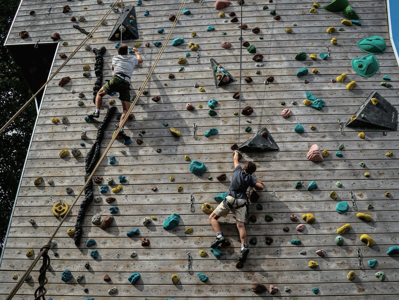 Two climbers on belay ropes, seen from below, halfway up a tall wooden climbing tower studded with coloured holds
