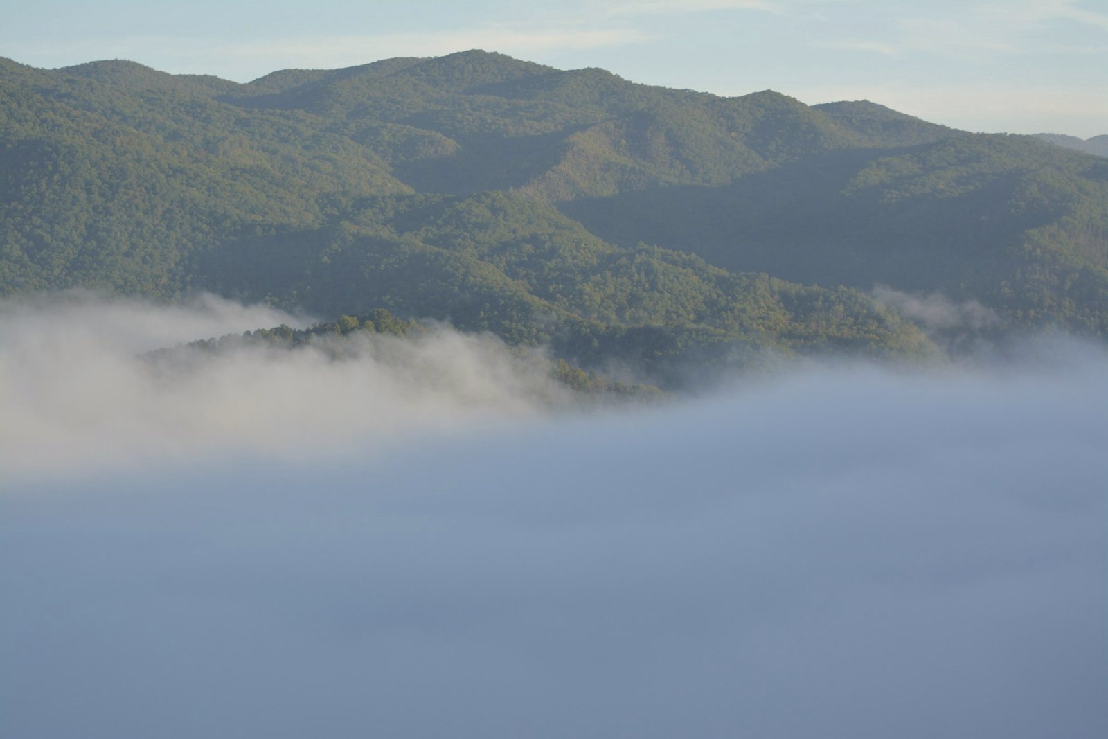 Forested ridges above a valley filled with morning fog